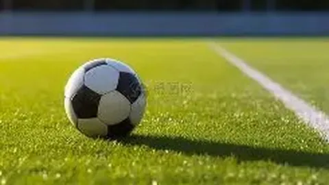 星耀娱乐 产品 123055 tms