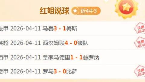 森林狼主场对决掘金，G3关键战专家质合分析推荐前区十码