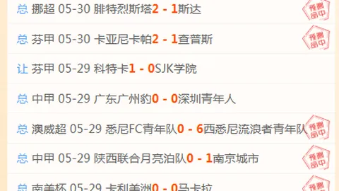 自由队对节奏队：谁是赛季黑马避雷指南揭晓