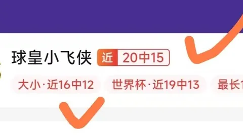 芬兰超级联赛星耀娱乐App：图尔库主场迎战埃尔维斯，能否成功阻拦